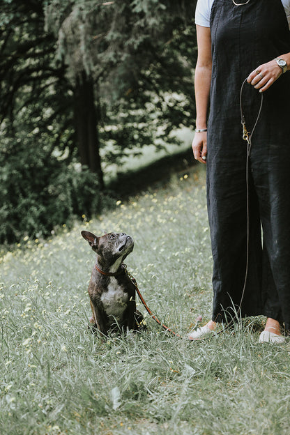 Saddle Tan Convertible Canine Lead held by a person, attached to a brindle French bulldog looking up in a grassy field.