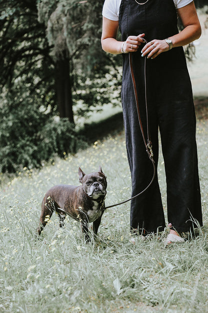 Saddle tan convertible canine lead held by a person walking a dark brown dog in a grassy field.