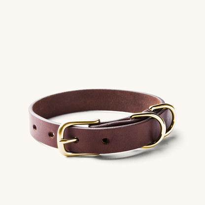 Classic canine collar in cognac leather with a brass buckle and two shiny D-rings.