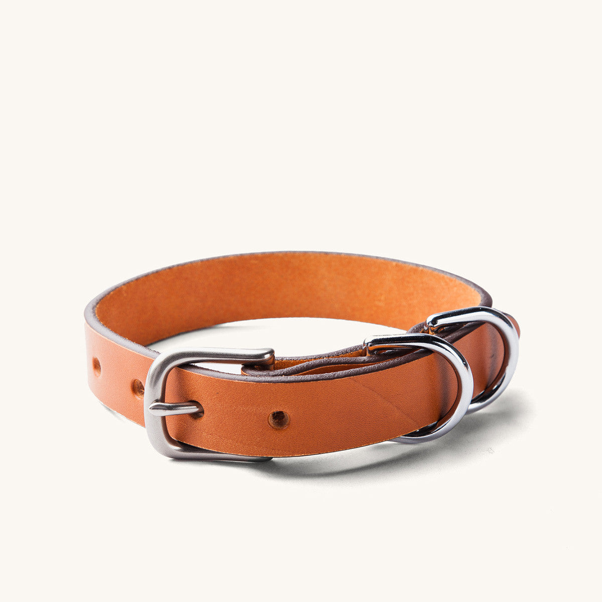 Saddle tan leather canine collar with a silver buckle and two D-rings.